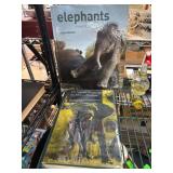 Two Books on Elephants by Various Authors