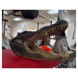 Alligator Skull Taxidermy Display Piece