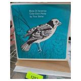 Tom Dolan Birds of America Color-Etch Prints