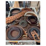 Leather and Braided Belts