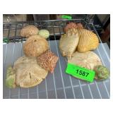 Burwood Products Co Seashell Wall Decor