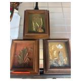 Three Framed Natural Specimen Artworks