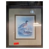 Framed Duck Wildlife Artwork