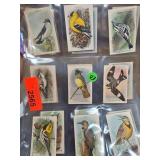 Useful Birds of America Cards