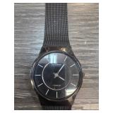 Skagen Titanium Mesh Band Wristwatch