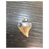 Sterling Silver Shark Tooth Pendant