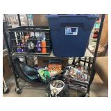 Halloween Decorations and Accessories