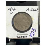 1916-D Buffalo Nickel in Holder