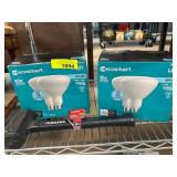 Ecosmart LED Bulbs and Husky Hammer Lot