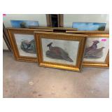 Four Framed Bird Prints
