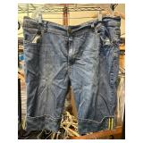 Apollo Jeans Womenï¿½s Denim Shorts, Size 21/22