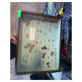 Wood-Framed Vintage Butterfly Display Case