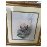 Framed Artwork of Water Birds and Lotus