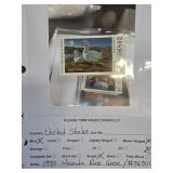 1990 Nevada Ross Goose Stamp