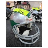 Riddell Football Helmet in Green and Silver Mini