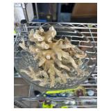 Glass Bowl Containing Natural Coral Specimen