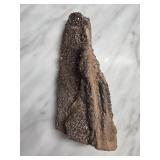 Quartz on Petrified Wood