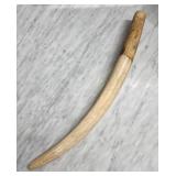Natural Walrus Tusk with Visible Grain
