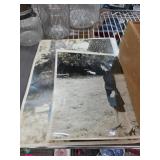 Vintage Photographs With Personal Notes