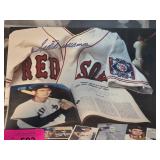 Boston Red Sox Ted Williams Signed Artwork