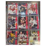 Hockey Trading Cards in Sleeves