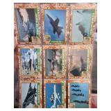 1991 Pro Set Desert Storm Trading Cards