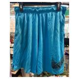Nike Dri-Fit Blue Athletic Shorts