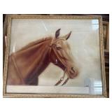 Framed Portrait of a Horse in Profile View