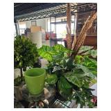 Decorative Home Accessories Collection