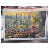 Sonoran Desert Nature of America Stamp Sheet