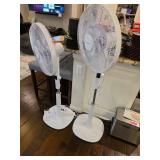 Two White Oscillating Pedestal Fans