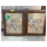 Framed Deer Portrait Prints