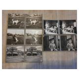 5 Vintage Stereoscope Cards