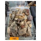 Tray of Mixed Fossil and Rock Specimens