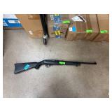 Ruger 10/22 Air Rifle with Synthetic Stock