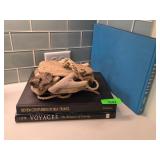 Driftwood Sculpture With Nautical Books