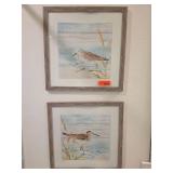 Framed Shorebird Artwork Prints