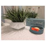 Decorative Plant, Sign, and Shell in Dish