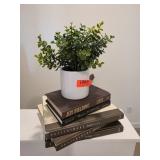 Potted Faux Greenery in White Ceramic Planter w Bo
