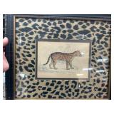 Framed Illustration of Felis Pardalis