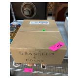 Box Lot of Seashells and Rocks
