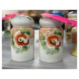 Hand-Painted Porcelain Salt and Pepper Shakers
