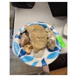 Rocks and Coral Collection