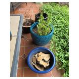Outdoor Garden Supplies and Decor Assortment