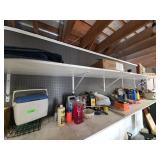 Garage Chemicals and Tools Lot