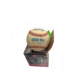 Ivan Pudgeï¿½ Rodriguez Signed Baseball