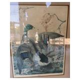 Sallie Middleton Mallard Framed Print 1970