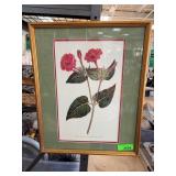 1797 Botanical Print Framed Lithograph