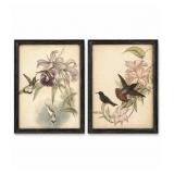 Framed Hummingbird Prints