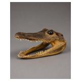 Taxidermy Alligator Head Display